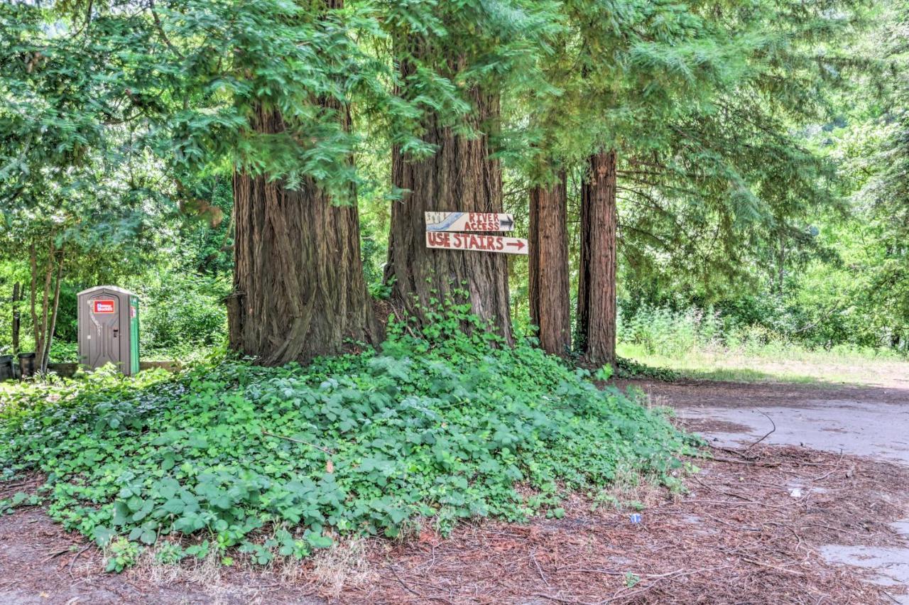 Redwoods Cabin With Hot Tub Walk To Russian River! Guerneville Exterior photo